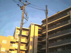 [Your browser doesn't support
    images]