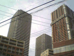 [Your browser doesn't support
    images]